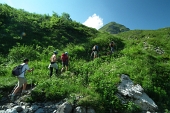 12 nel verde